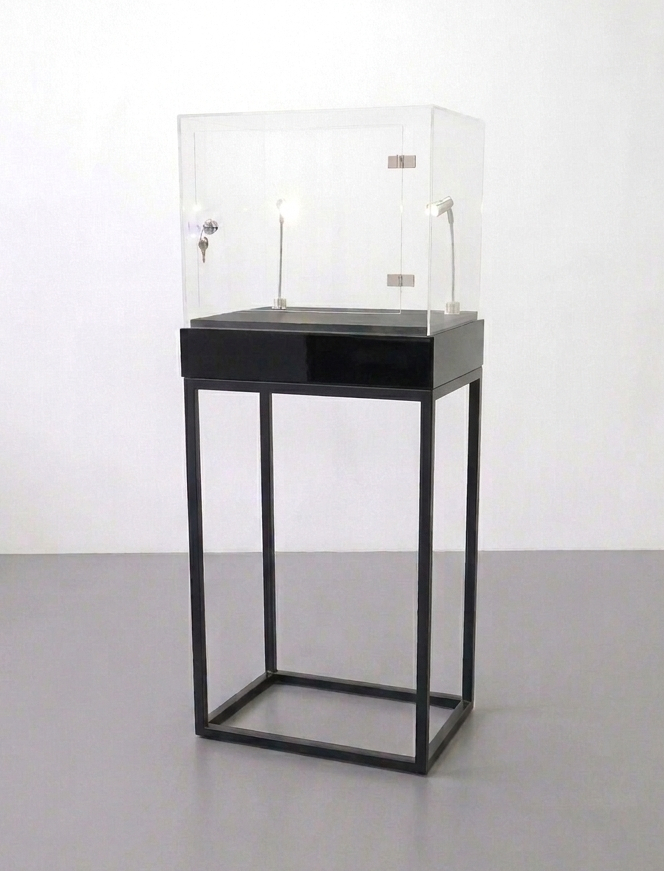 struttura espositiva con teca in plexiglass e faretti
